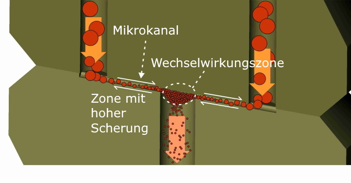 Bild des Homogenisatorventils - sowohl Kolbenspalt als auch Mikrokanal