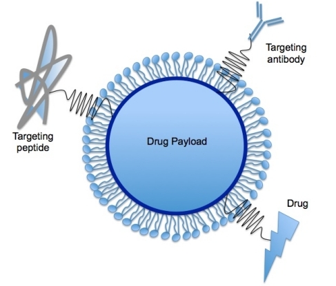 Bild eines festen Lipid-Nanopartikels