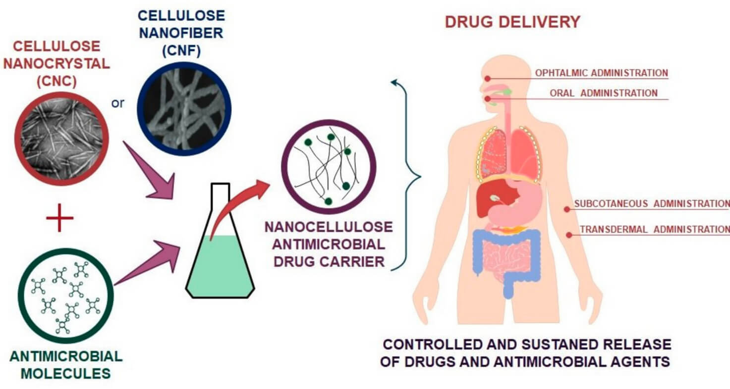 image - Nanozellulose in Arzneimittelverabreichungssystemen