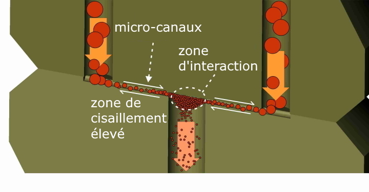 Valve d'homogénéisation - à la fois Piston Gap et Micro Channel