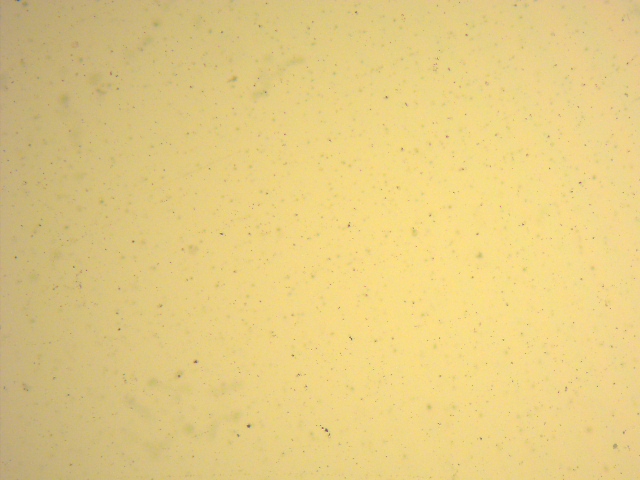 microalgae cells after cell disruption - homogenizer.