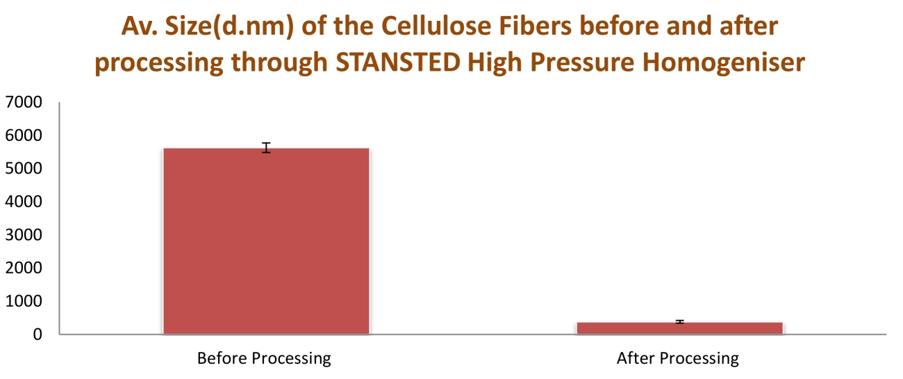 fibres de cellulose après traitement.