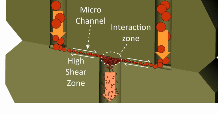 Homogenizer valve - both Piston Gap and Micro Channel